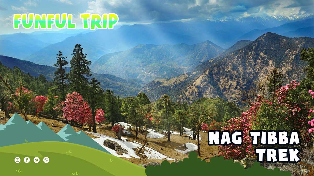 Nag Tibba Trek Experience Nag Tibba Trekking, Route, Distance, Best Season, Camping